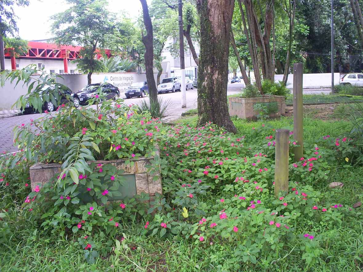 121208_retratosdacidade-005-ok