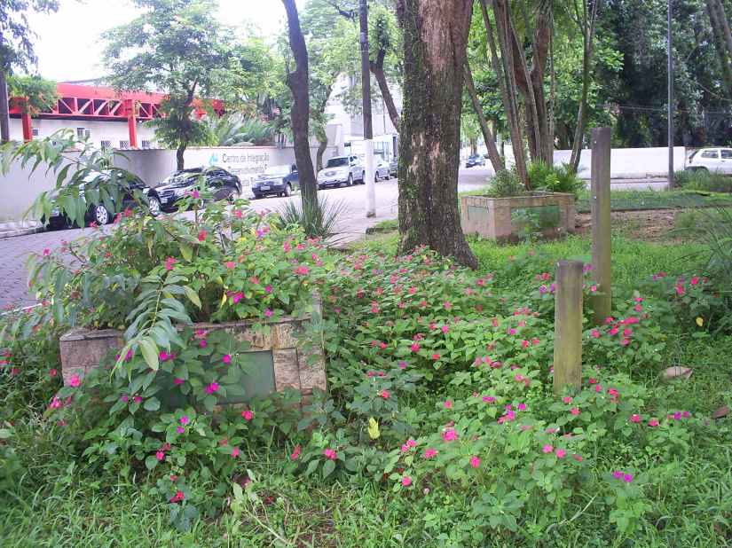 121208_retratosdacidade-005-ok