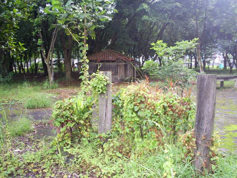 140109_parqueprimaveras-006