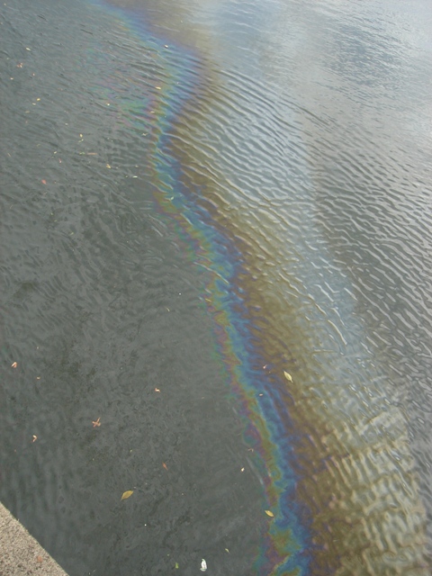 Mancha de óleo no rio Cubatão. (Foto: Moésio Rebouças)